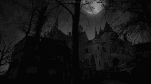 ⥃⿻ ﹗ HEX N' HOLLOW. 🕷 ・   
